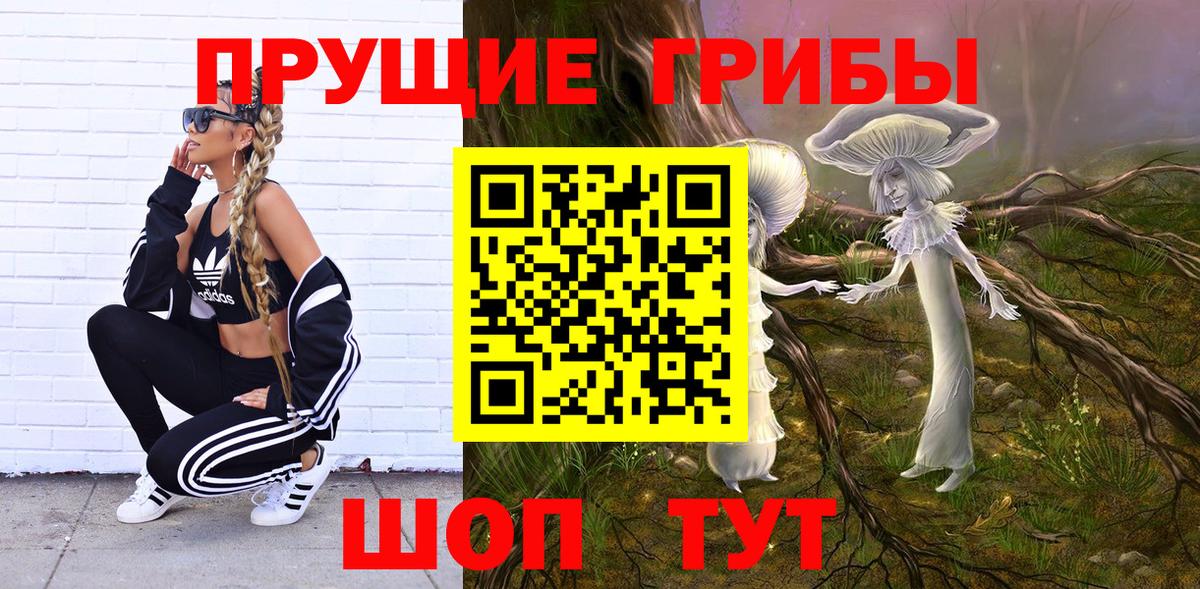 сколько стоит  Галлюциногенные грибы Psilocybe  Ульяновск  Вход с VPN  Галлюциногенные грибы Cubensis 
